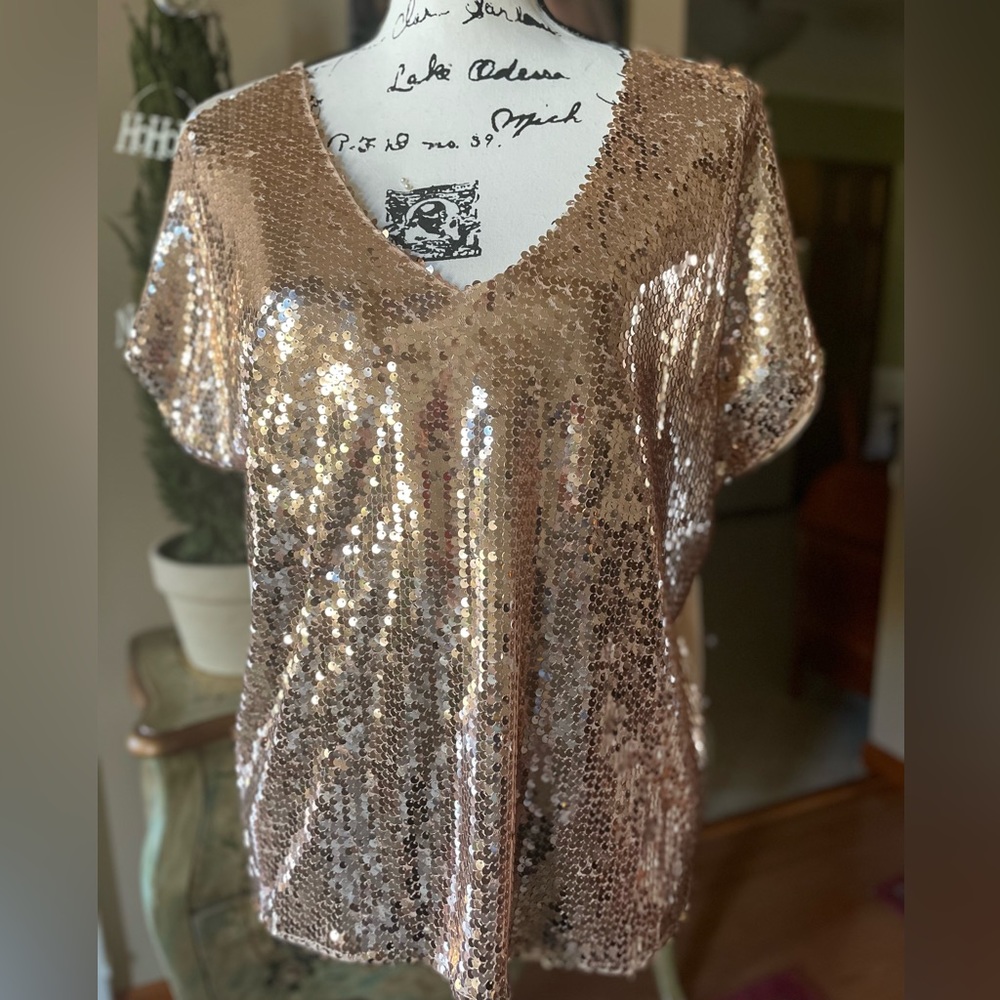 Young Fabulous & Broke Rose Gold Sequin V-Neck Top